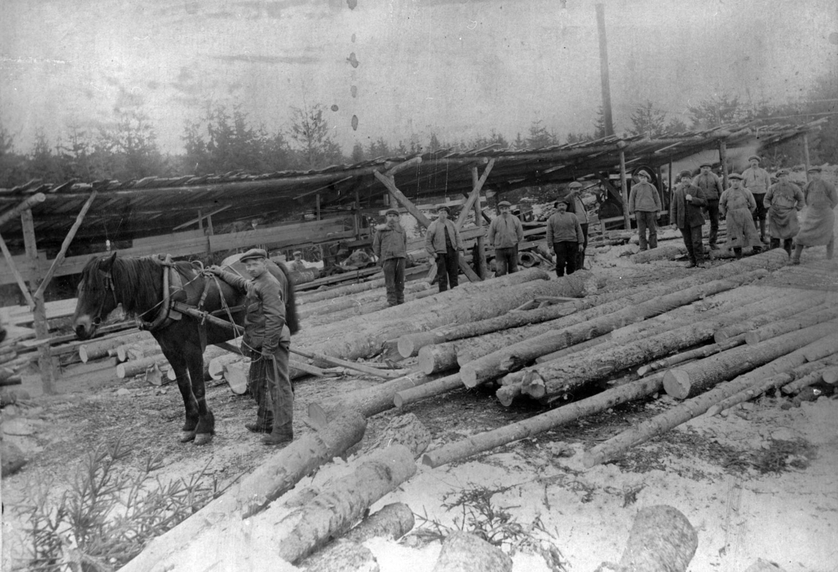 Saga på Wethal.