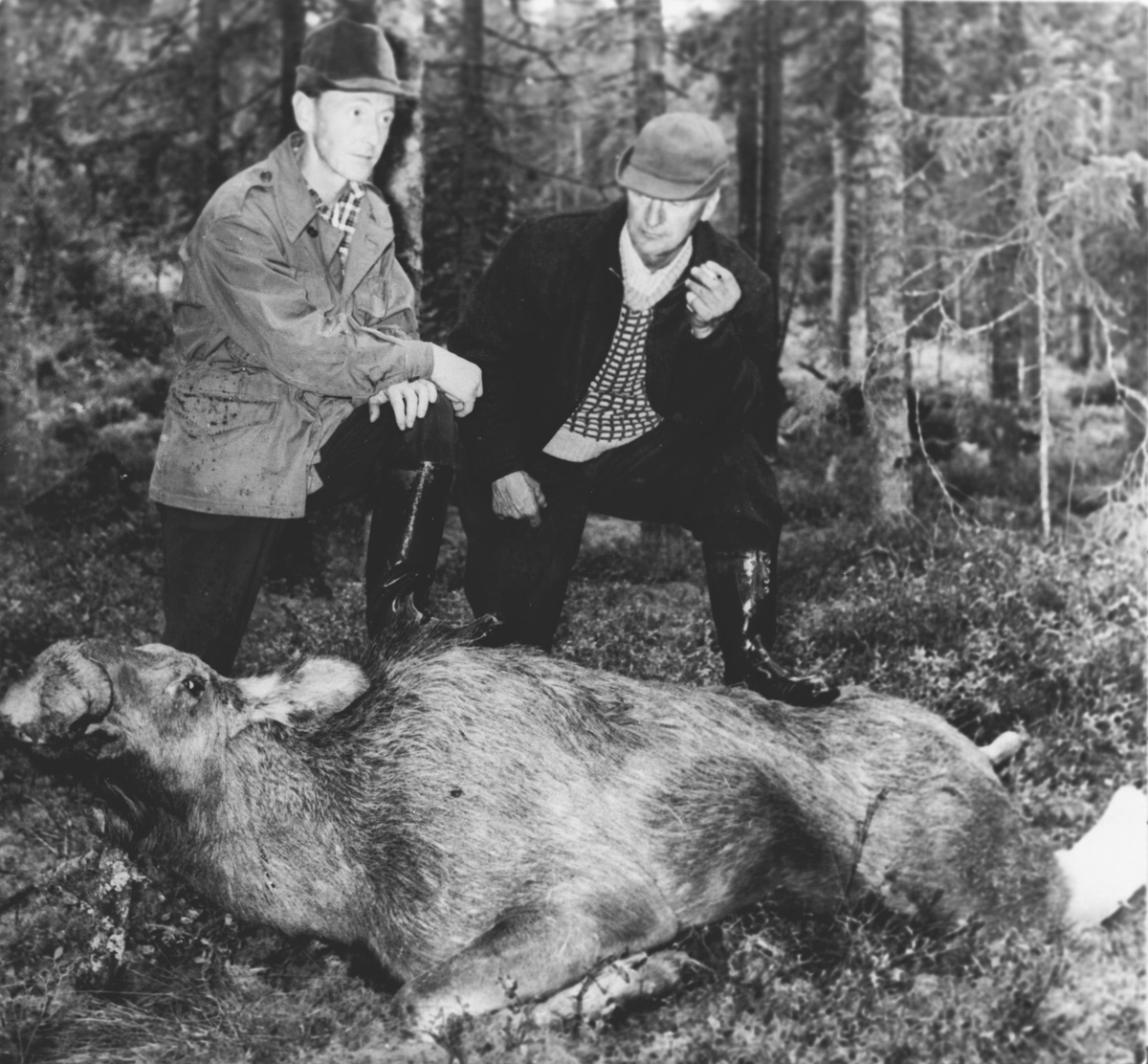 Elgjakt (t.v. Sæther).