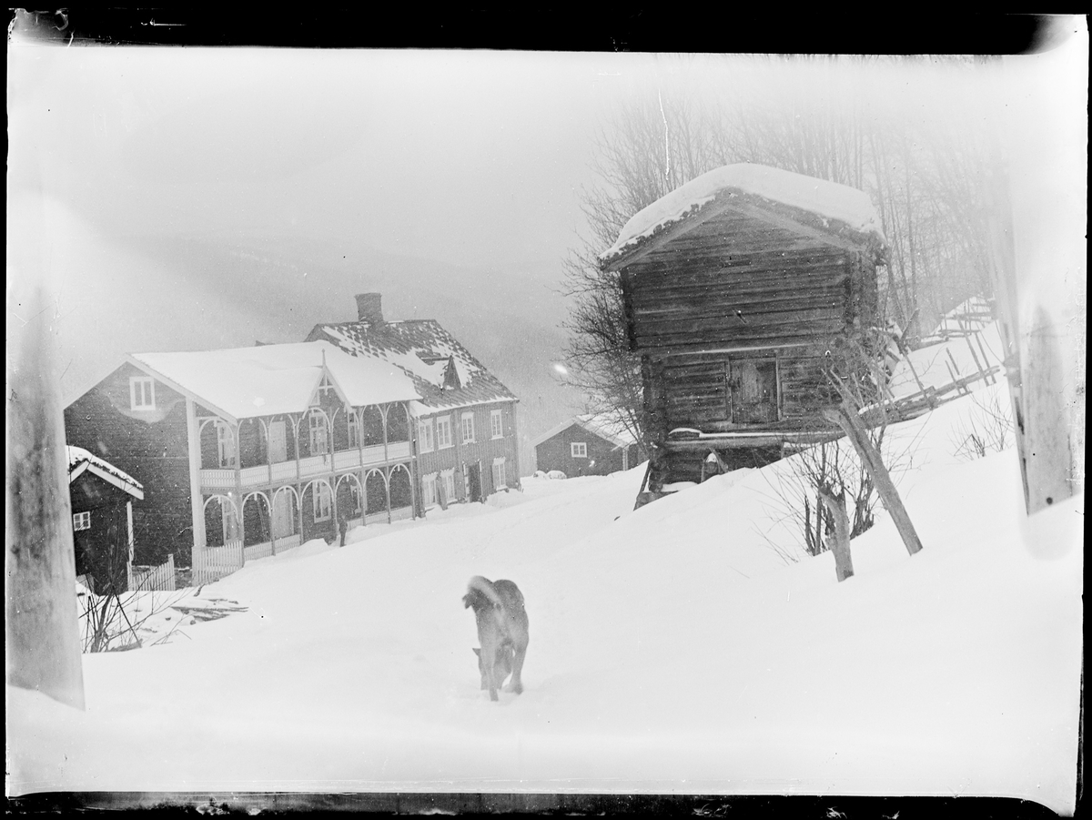 Vinterbilde av et stort bygg, flere hus/hytter, et stabbur og en hund.