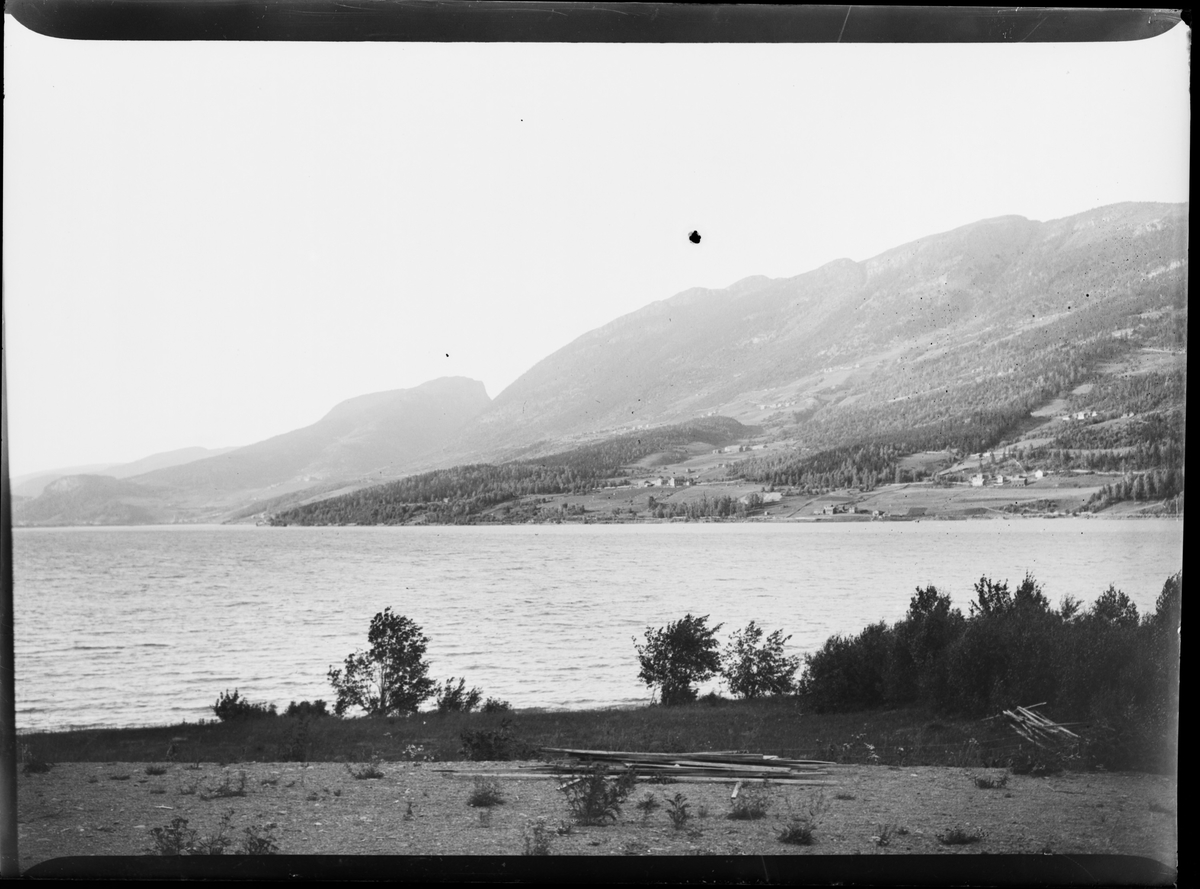 Utsikt utover en fjord