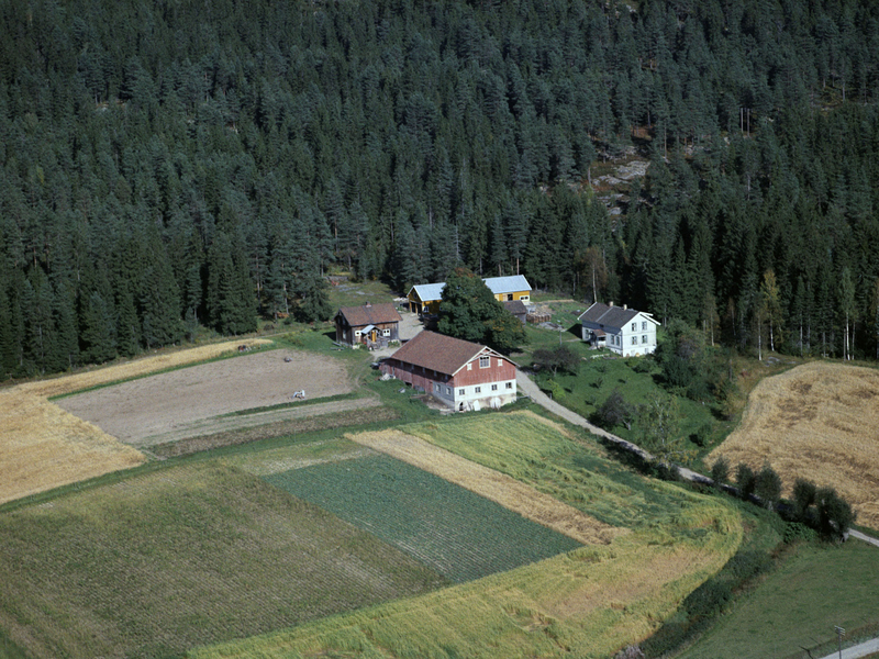RINGNES (ØVRE) GÅRD