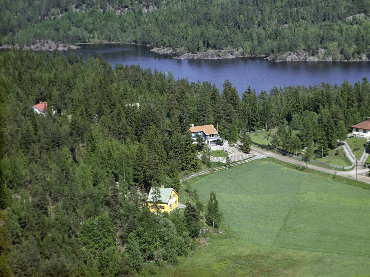 VILLAER I ROALD AMUNDSENS VEI VED GJERSJØEN