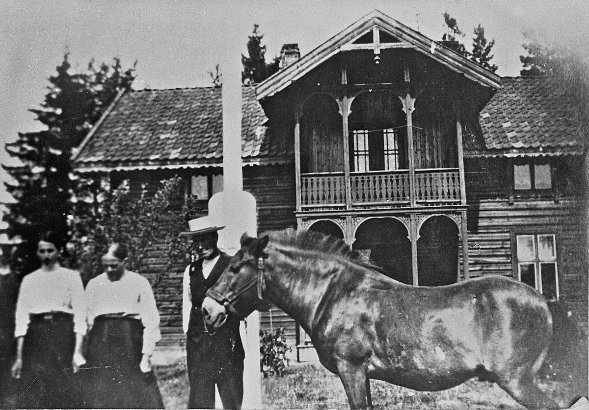 1 hest og 3 voksne utenfor et hus. Vestby, Dal. Ca. 1900. Dette huset er revet, og General Motors har bygd der nå (1982). På bildet er Oleane med datteren Johanne.