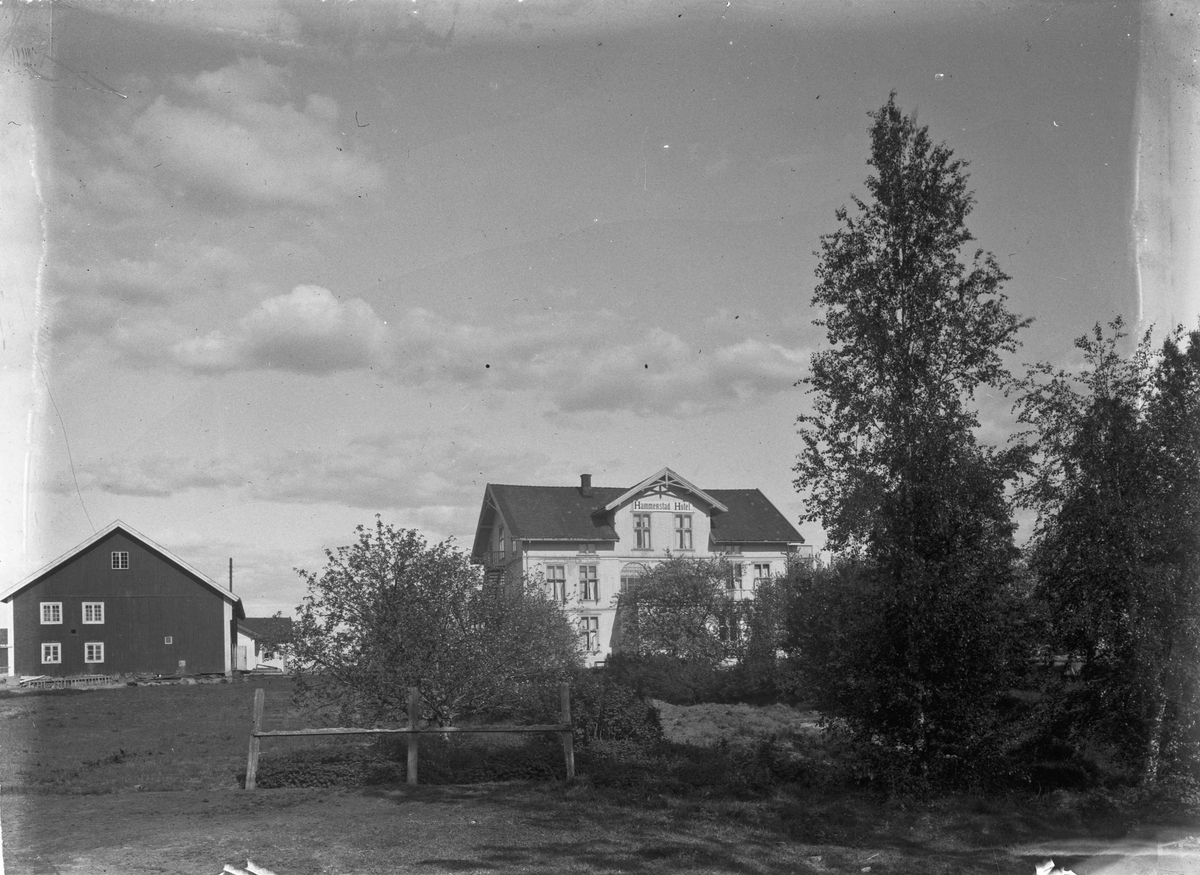 Gårdsbruk