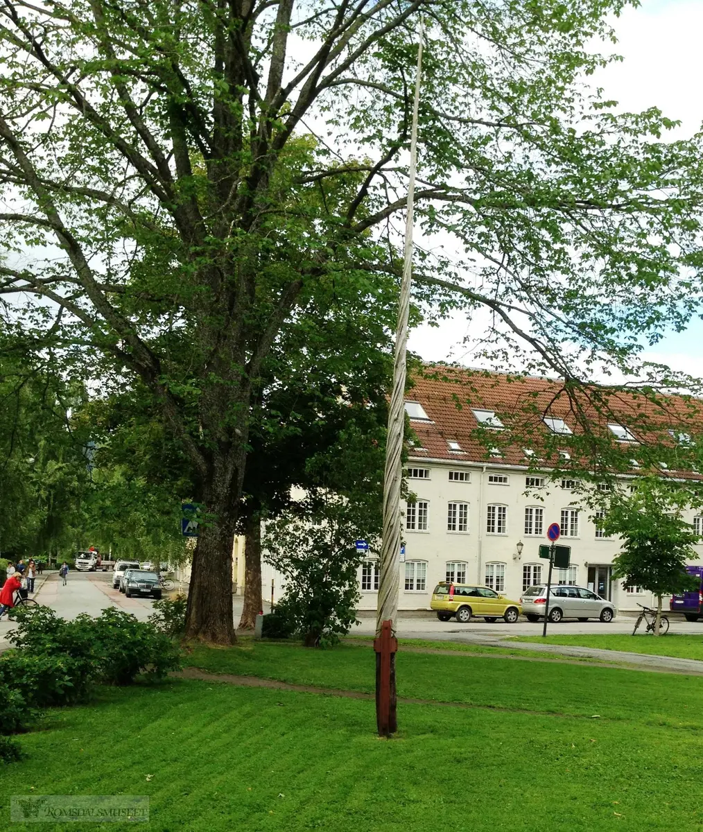 Einer fra Grevem, Sunndalen brukt som flaggstang på vitenskapsmuseet i Trondheim..Einen er 7 meter høy.