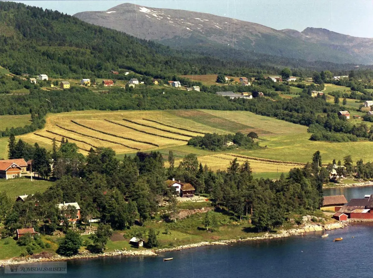 Fra høyre. Leira, Hofseth-brygga, Furukollen, Fred Aarøes hus. Bakenfor Lergrovik gård.Lergrovik, Furukollen. Thue, Oskar