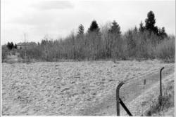 Fra ryddingsfelt 2 för arbeidet begynner.