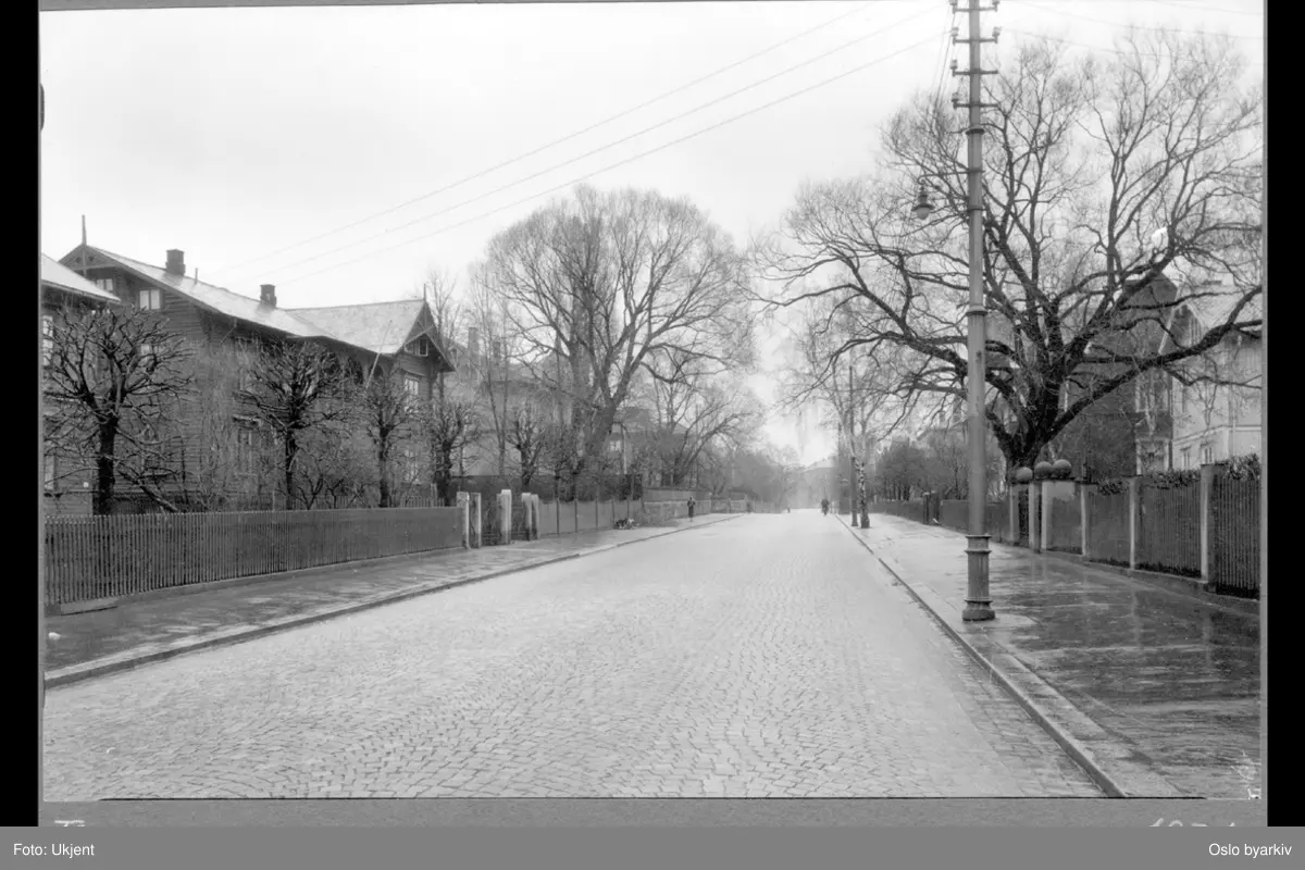 Tidemands gate med trevillaer og inngjerdede forhager med busker og trær på hver side.