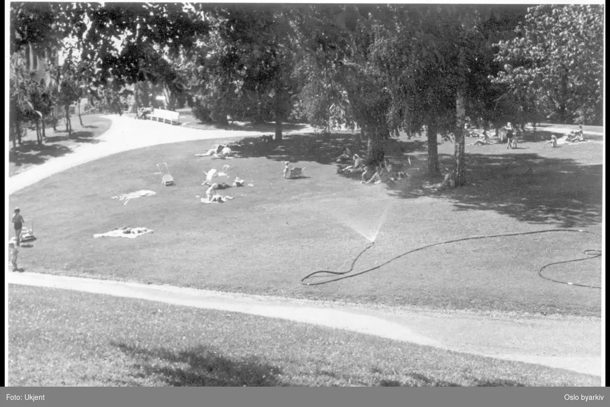 Nedre platå i parken med grusganger, parktrær og plener. Barn i lek. Barnevogner. Folk koser seg i skyggen.