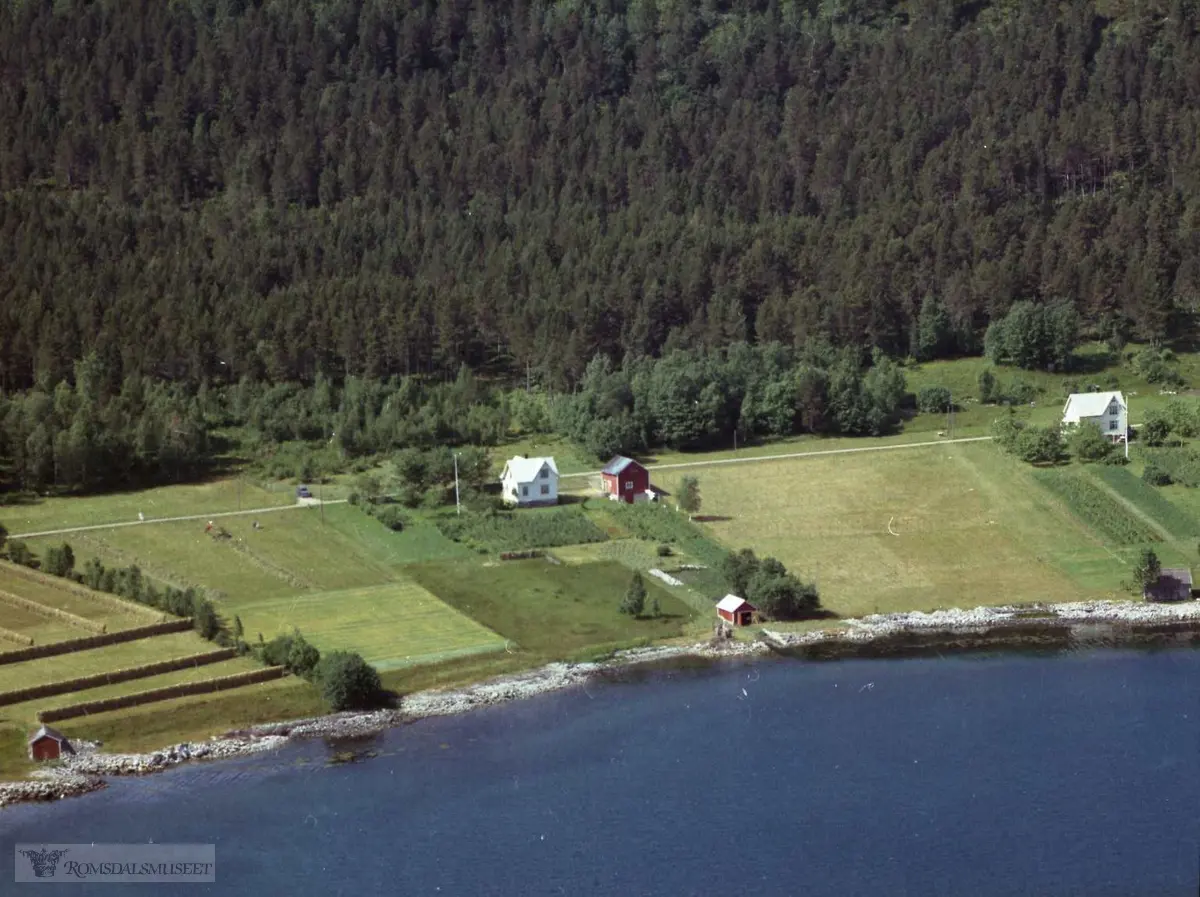 Vestnes, gnr. 51..Midt i bildet: Bnr. 48. Frådelt frå 51/4..Til høyre: Bnr. 4 "Furneset". Opphaveleg plass under Vestnesgarden, sjølveigarbruk frå 1908. Dette bruket er heimen til Mali Furunes. .Sjå meir om husmannsplassane under Vestnesgarden i Vestnes sogelag sitt årsskrift 2010.