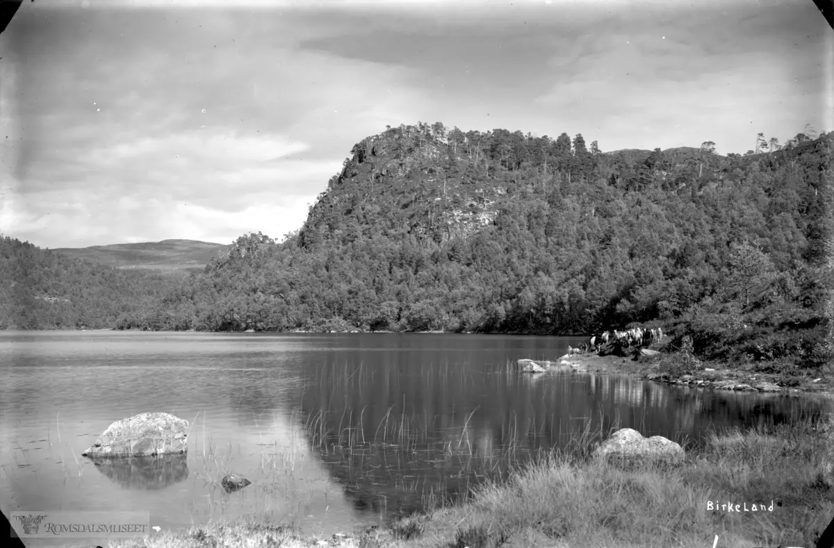 Ørnehammeren ved Langvatnet. På Hytteneset, hvor gamle Vardehytta stor, ser vi en flokk bufe, sauer eller geiter. Langt i bakgrunnen finner vi Valletua. Bildet er tatt av Birkeland (rundt 1930?).