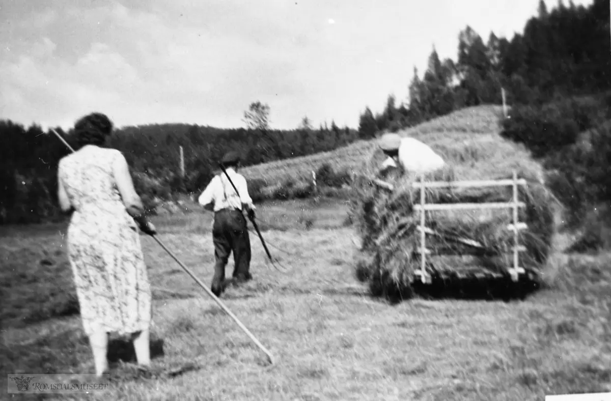 Høykjøring på Nordigarden på Skjørsetra.