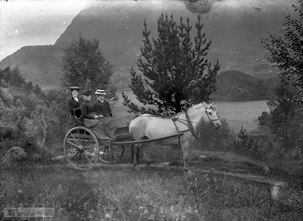 Gyldenås sett mot Siem..Bildet er tatt på veien opp til Gyldenåsen..Vi ser holmen i Gjerdsetvatnet i bakgrunnen.