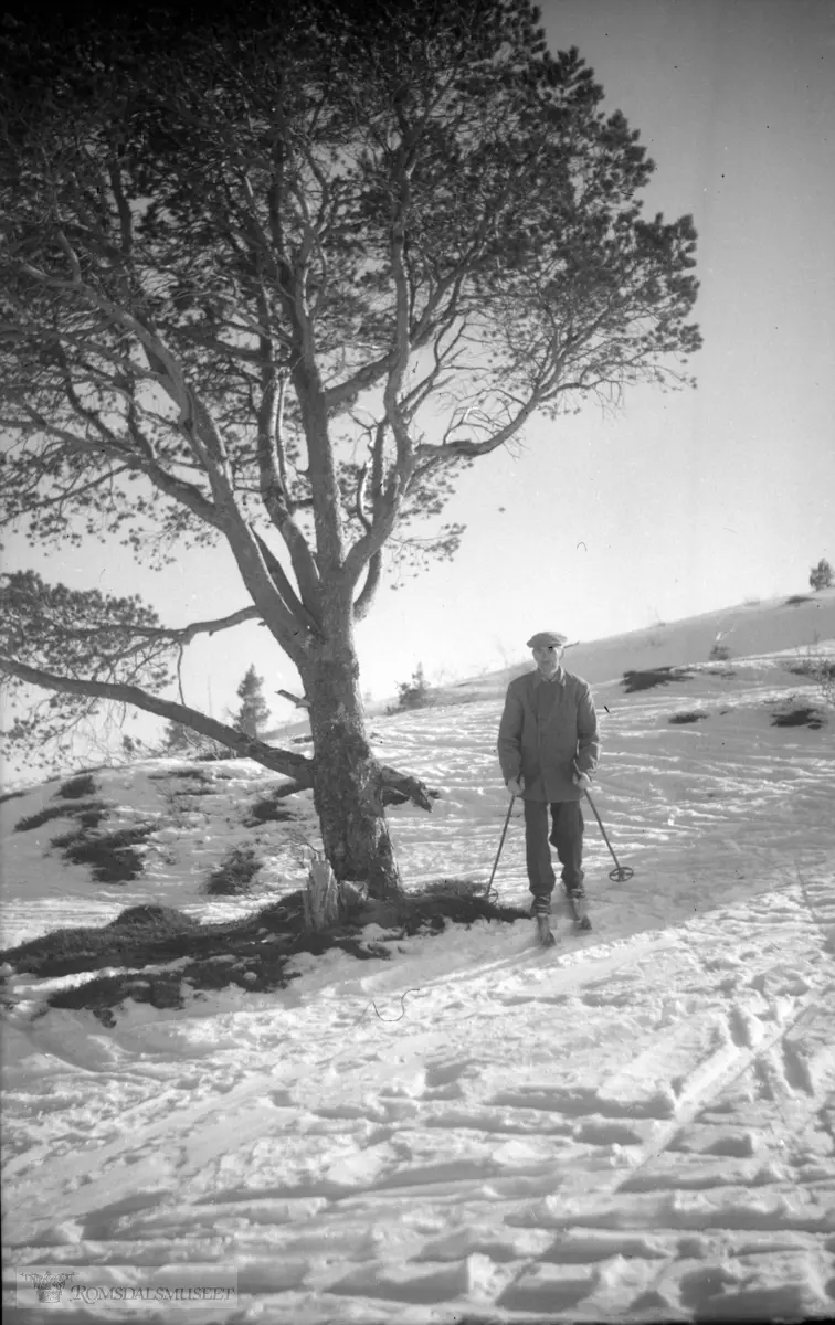 Halvor Gjenstad på skitur..(Bilde tatt mellom 18/3-1951 og 8/7-1951)