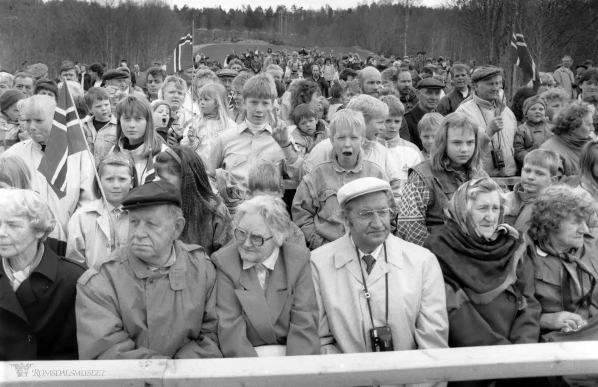 .Minne om aprildagene 1940. Kong Olavs siste besøk i Romsdal.