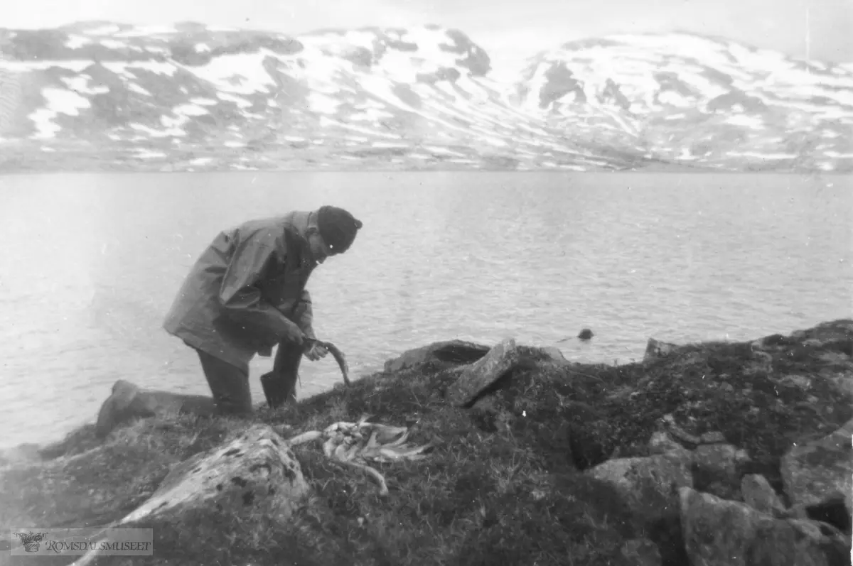 fiske, Kjøtåbotnen