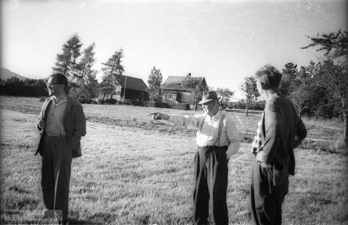 Kavlvegen Desse bileta skriv seg heilt sikkert frå ei synfaring på den gamle kavlvegen over Furland. .Mannen i hatt er Hans P. Vollen, bureisar, gardbrukar, hestehandlar og murar på Ny Jord / Furland. .(Se Romsdal Sogelag 1979, side 117)