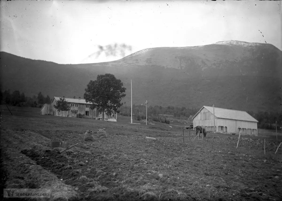 Ytre Sandnes, Myrhaugen, Holmemstranda, gnr. 162/4..Tarløysa i bakgrunnen.