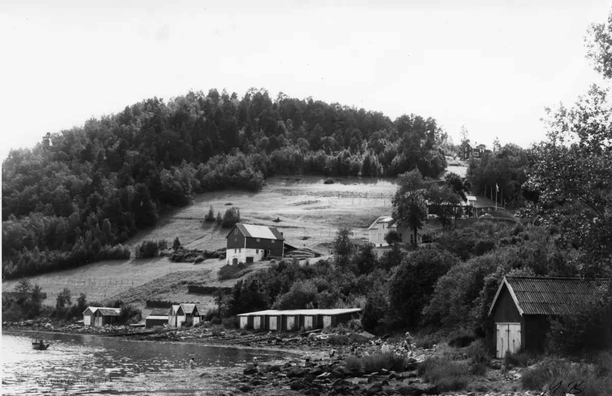 (Bilder brukt i "Gards- og ættesoge for Nesset").