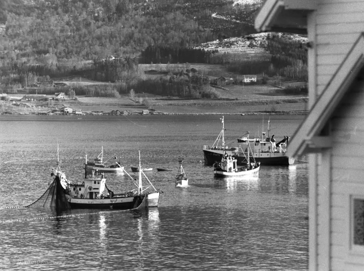 Bilde er tatt fra Salthammaren. .Hushjørne i forgrun tilhørte Leif Salthammer. .På andre sida av fjorden ser vi deler av Krokseth.