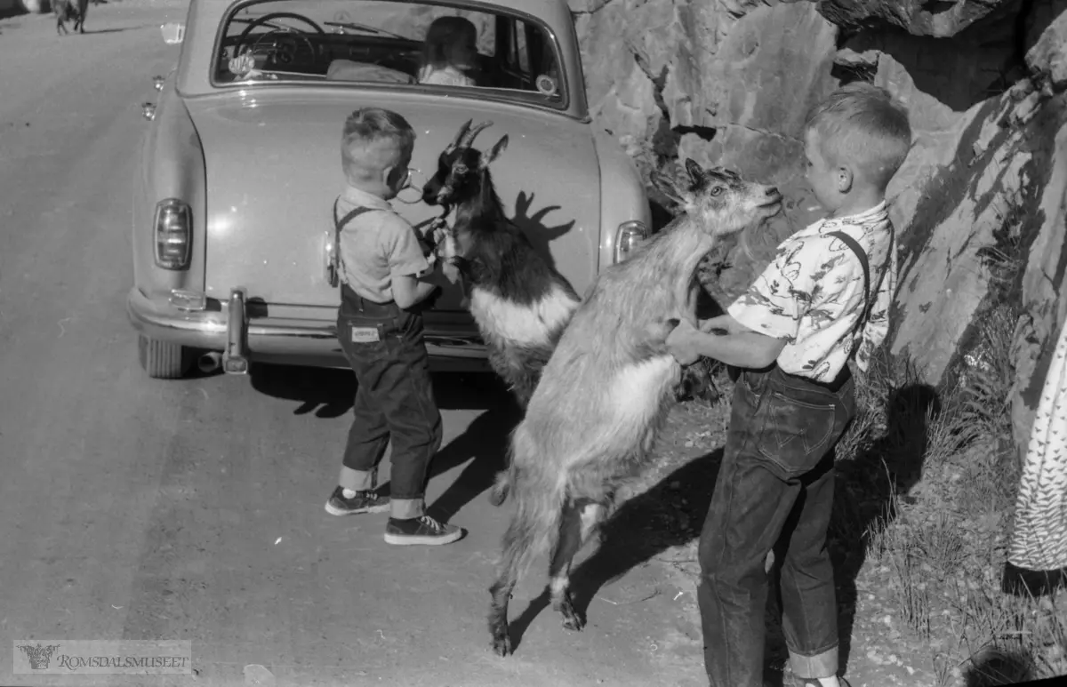 Gamleveien fra Innfjorden mot Åndalsnes. .(Film merket "1959. Jonsok, ?, Molde, Valldal, Eidsdal"). .Bilen er en Mercedes 219 1957 mod med reg nr T-30789.