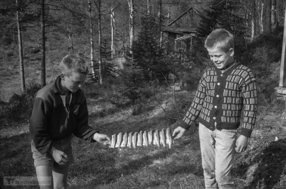 "Lillehammer 01.06.1964. Hos Tovan. Hyttetur. Vitjing på Langvatnet".