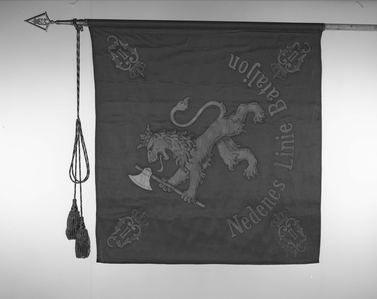 Kristiansandske infanteribrigade. O.II.
Nedenæs Linie Batailon.
Silkefane.Midt på Den norske løve. I hjørnene kronet OII monogram. Banderoler med kvaster. Spiss med kronet O II.
