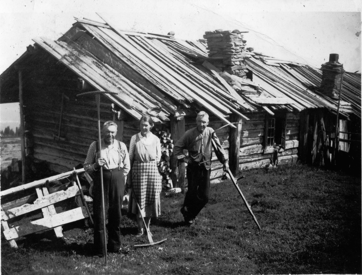 Slåttefolk på Jegleimsvollen Smylistølane.
Rive,nikkers,skjorte og busserull.
Frå v.Eirik,Kari og Tor Jegleim.