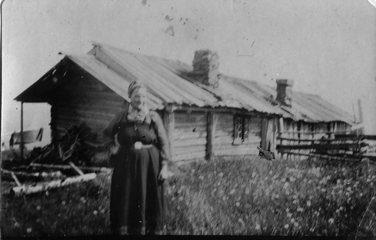 Portrett framfor Stølsbu.
Birgit Haugstad Jegleim.