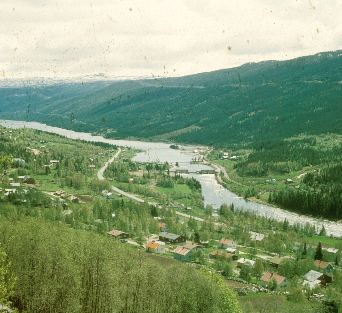 Ål 1967