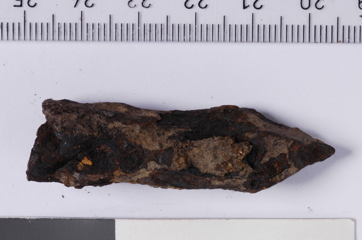 MALV: L. 5, 1 CM  B. 1, 3 CM, TYPE SE S. GRIEG: MIDDELALDERSKE BYFUND, FIG. 279. 