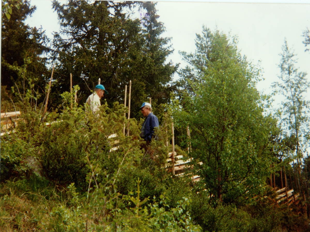 Gjerding av skigard på Skrøyvestølen.
Frå v. Knut Løvdokken og Torleif Lien.