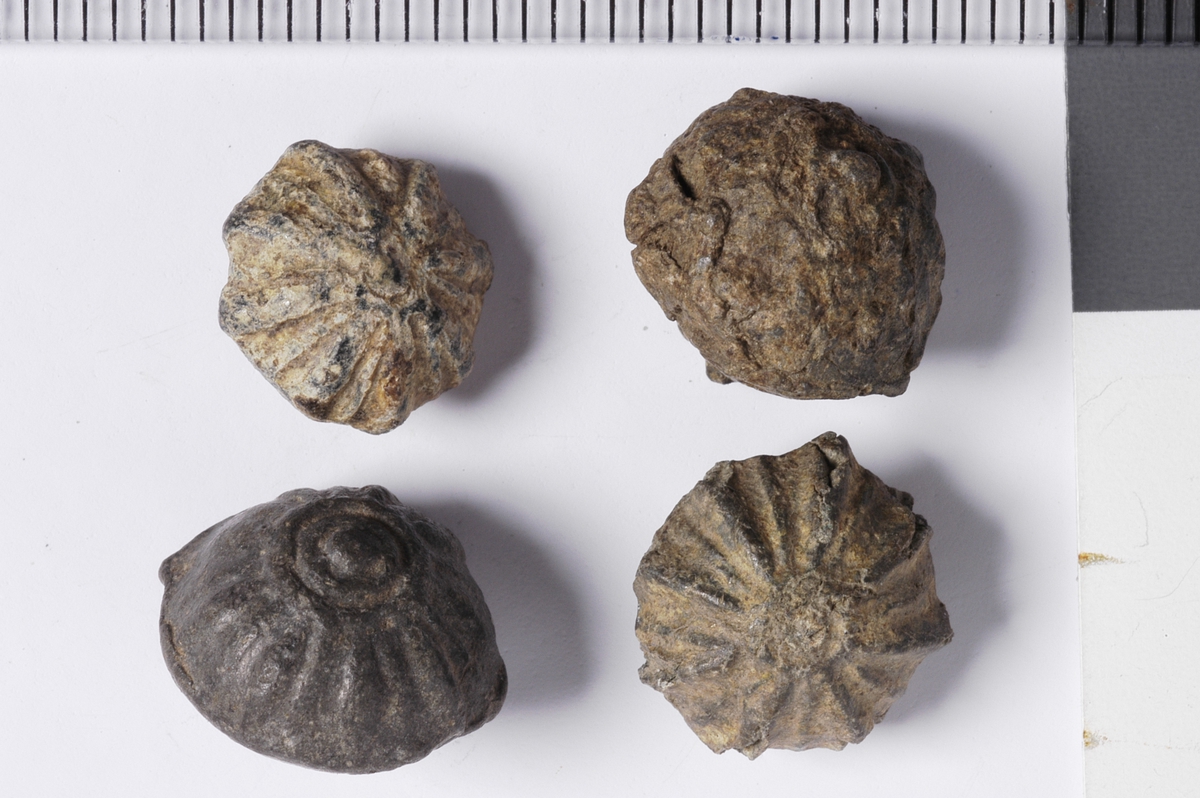 MALV: DIAM. 11 MM, EN MED DIAM. 10 MM, STØPT. DOBBELTKONISK. RESTER AV HEMPE. A: MANTELEN HAR RADIÆRE RIFTER, B: HAR RADIÆRE RIFTER PÅ MANTEL OGUNDERDEL. 