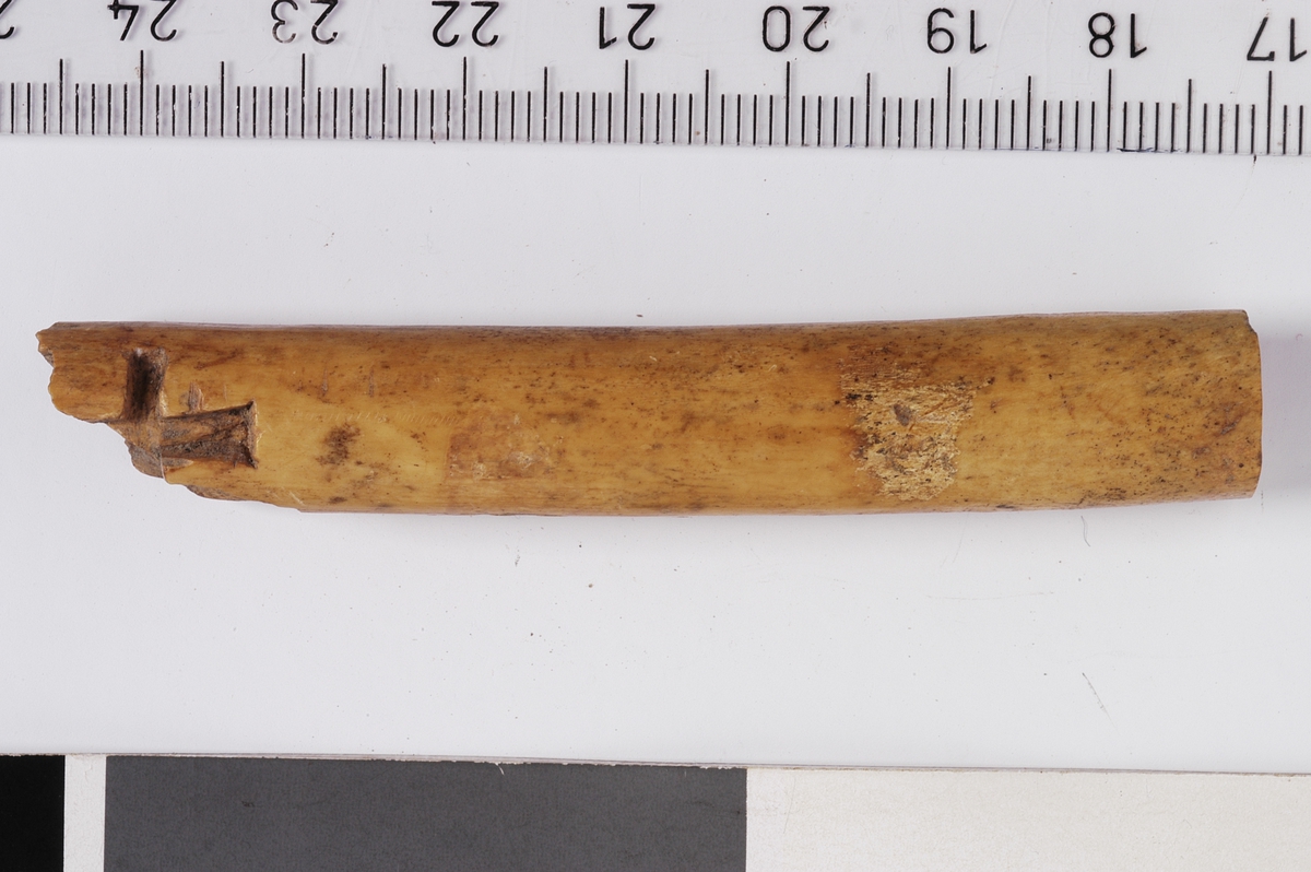 MALV: L. 7, 4 CM, ST. BR. 1, 2 CM, GLATTPOLERT BEINPIPE, AVSAGD I ENE ENDEN, BRUKKET IANDRE ENDEN. I DEN AVBRUKKEDE ENDEN ER DET SKÅRET UT TO KORS. 