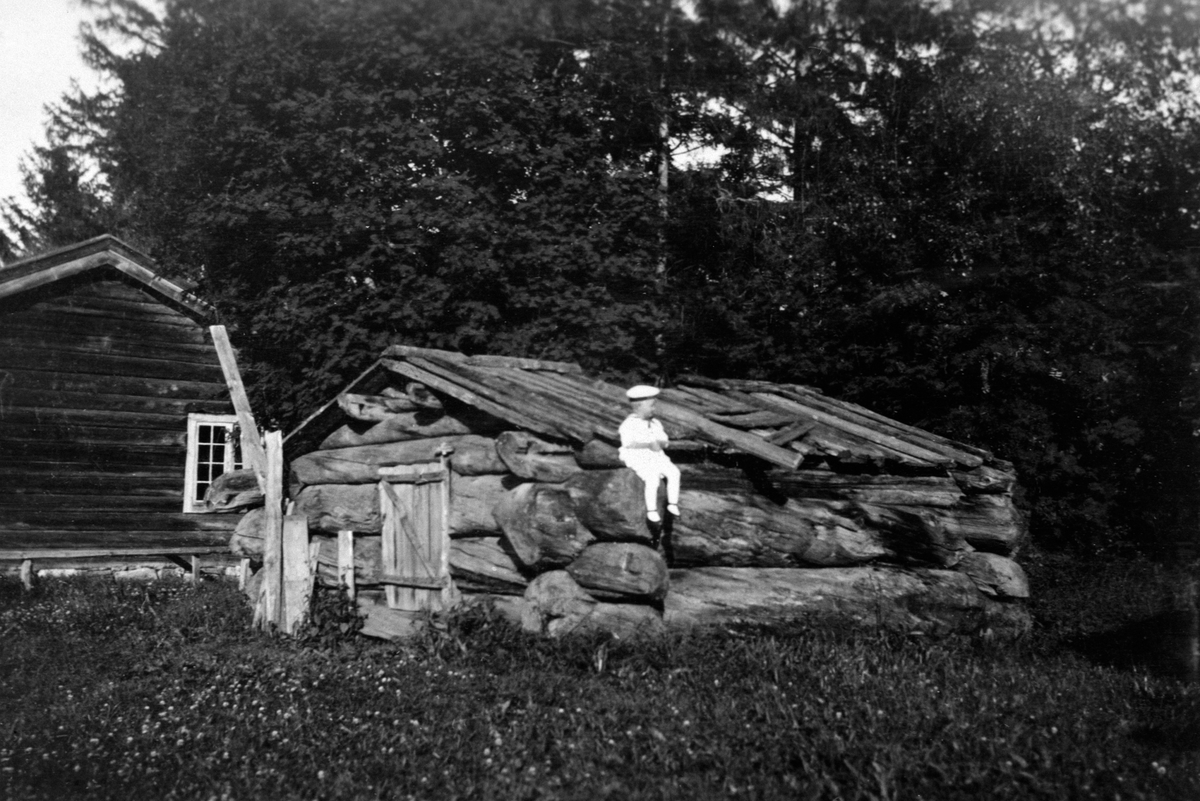 Hamar, Utstillingsplasssen, Oplandenes Folkemuseum forløper for Hedmarksmuseet, friluftsmuseum, Ljørkoie fra Østerdalen. Tømmerkoie, oppsatt på utstillingsplassen i 1907. Flyttet til Hedmarksmuseet, brent ned natt til 17.mai 1990.