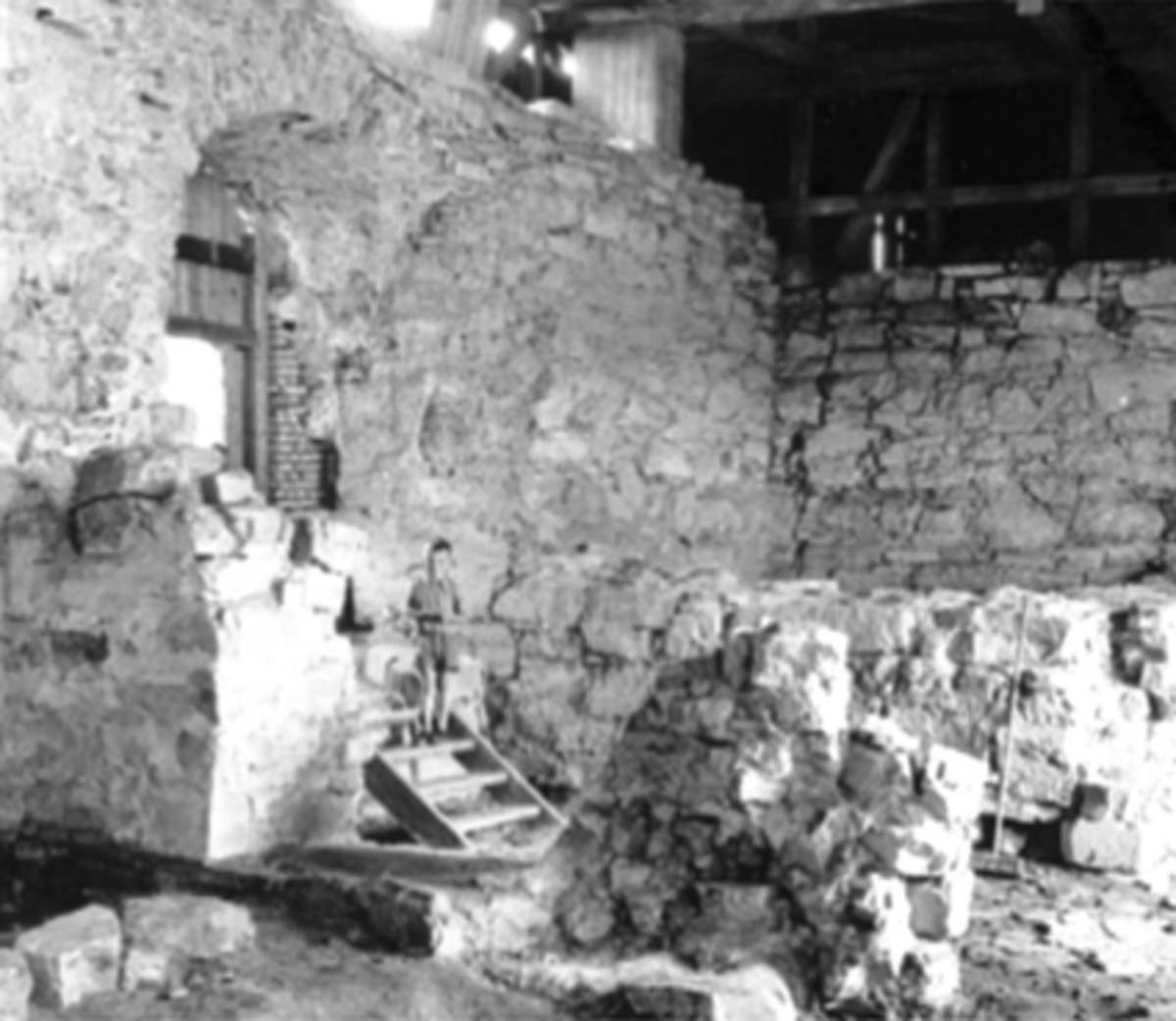 ARKEOLOGISKE UTGRAVINGER, STORHAMARLÅVEN, PORTTÅRNET I HAMAR BISPEGÅRD, HEDMARKSMUSEET OG DOMKIRKEODDEN