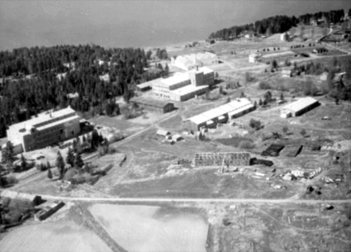 Hamar, flyfoto, Martodden, Statens Skogfrøverk, Birkebeinervegen 21 Stålverket, Hamar sagbladfabrikk,