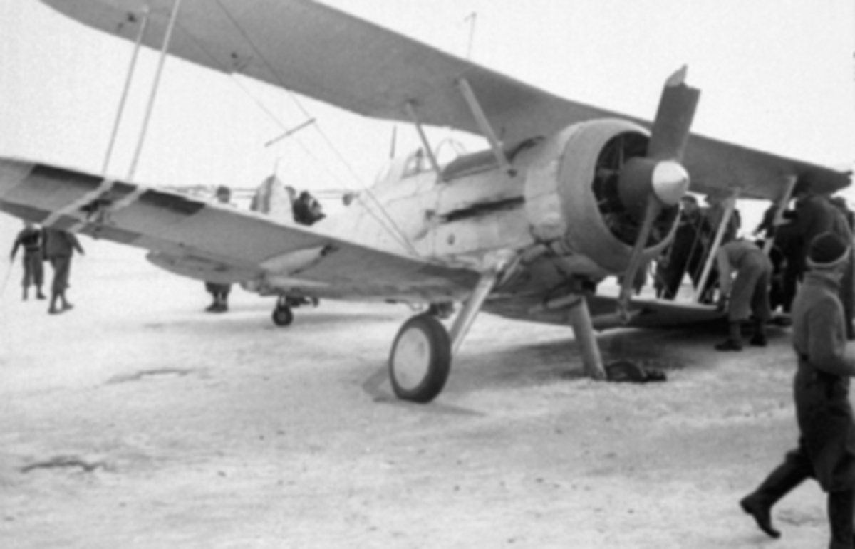 Hamar, Fly nødlandet under krigen på mjøsisen, 9. april 1940, mye folk, Gloster Gladiator jagerfly. 
Tilhørte jagevingen på Fornebu. Evakuert via Steinsfjorden til Hamar etter at Fornebu ble tatt av tyskerne. Flyet fikk skader etter at et hjul gikk gjennom isen og ble eterlatt på Hamar. Fløyet av Rolf Thorbjørn Tradin, nestkommanderende for jagevingen.