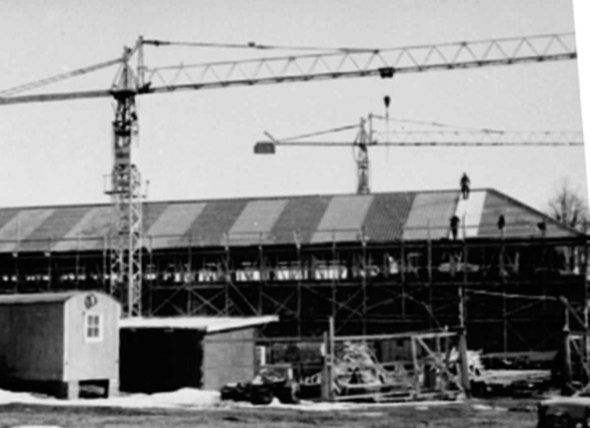 RESTAURERING, BYGGING AV STORHAMARLÅVEN, HEDMARKSMUSEET OG DOMKIRKEODDEN, BYGGEKRAN