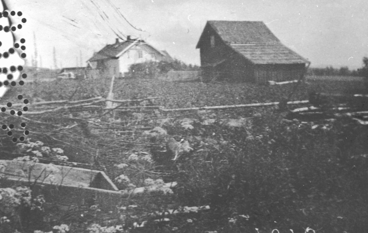 Freberg, tidligere under Nes Prestegård, Hedmark. Poståpneri fra 1864, skysstasjon 1870-74, landhandleri fra 1918.