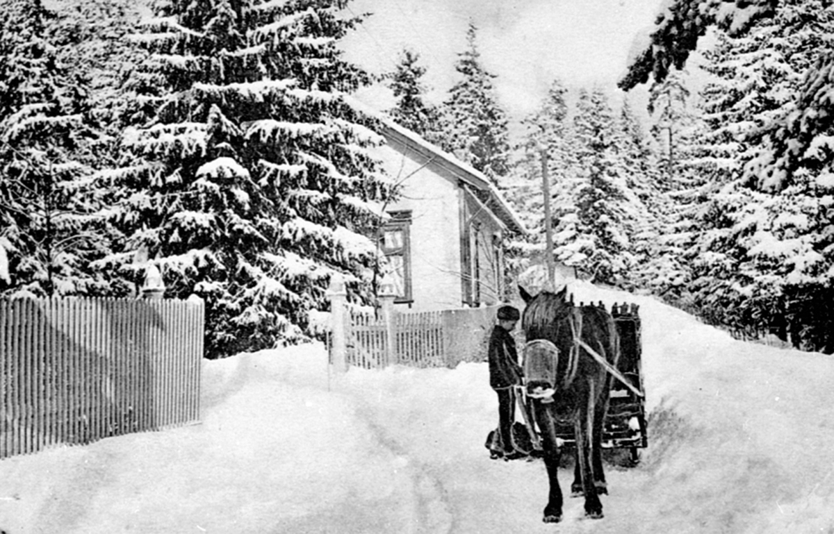 Gutt med hest og slede i Åsmarka, Ringsaker.