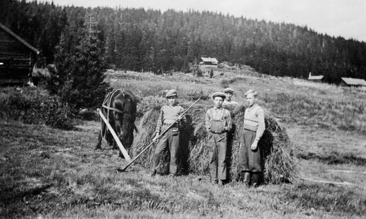 Høykjøring med hest og trestangslede på Natrudstilen, seter til Lisenga gård, Lismarka, Ringsaker. Fra venstre er brødrene Nils, Ivar og Einar Stensrud. Bak er far Hans Stensrud.