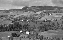 Flyfoto, Furnes, Høsbjøråsen,Skjellungberg i øvre venstre. H