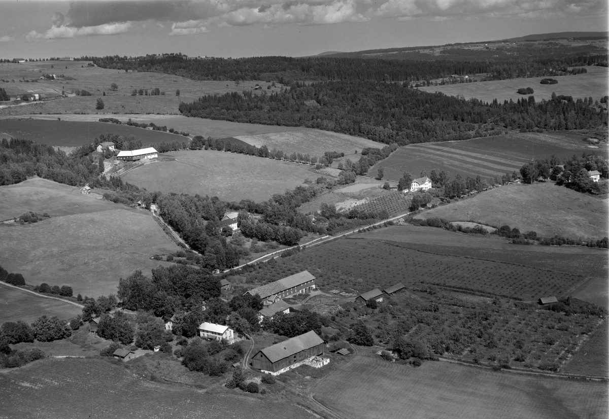 Flyfoto av Løken gård, Hasselbakken, Båberg gård, Furu skole, Veldre, Ringsaker. Frukthage, landskap.