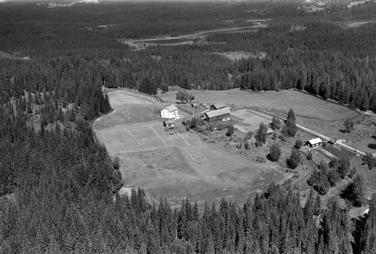 Flyfoto av ukjent gard, Brøttum, Ringsaker.