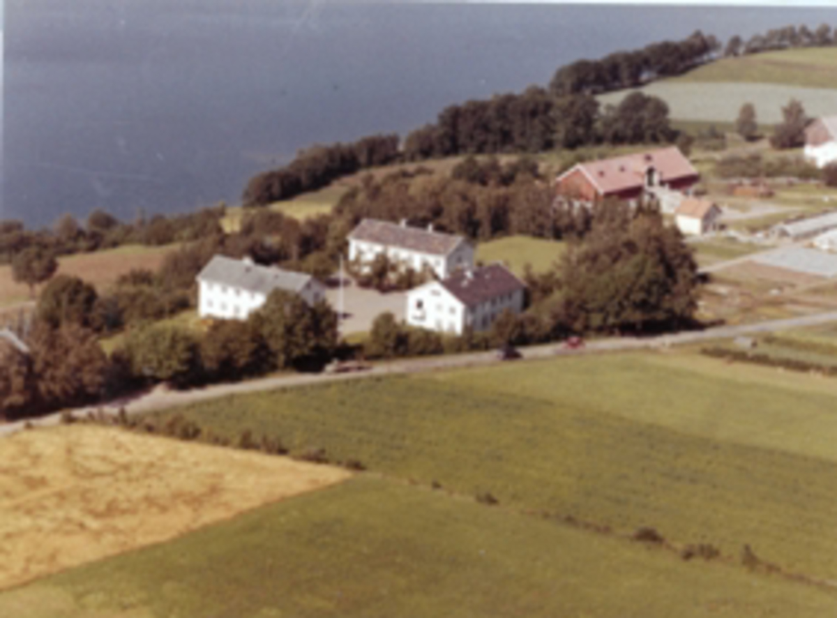 Flyfoto av Statens Hagebruksskole Vea, Ring, Ringsaker.