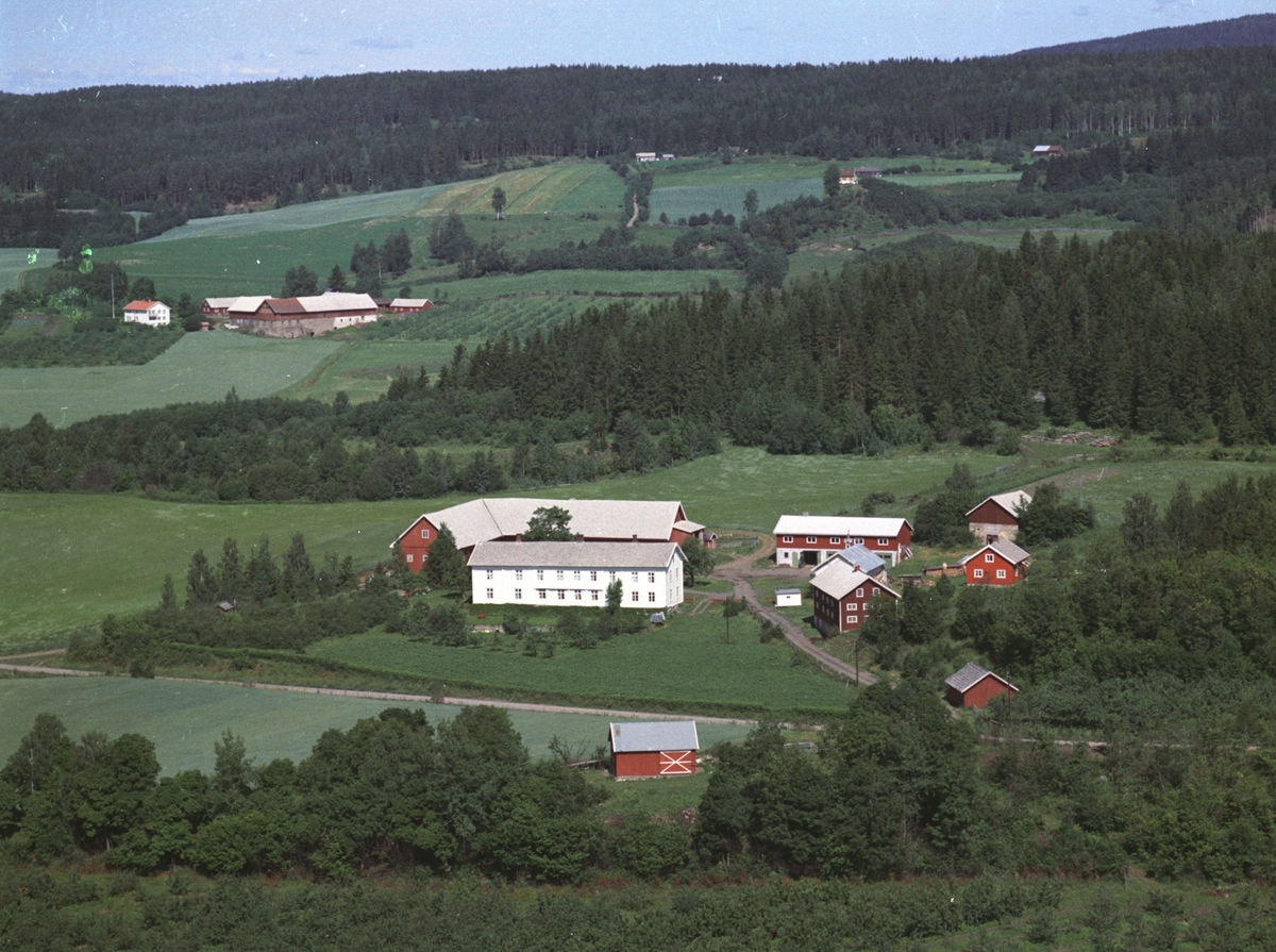 Flyfoto, gardsbruk, Gjestvang nedre, Nes, Hedmark.