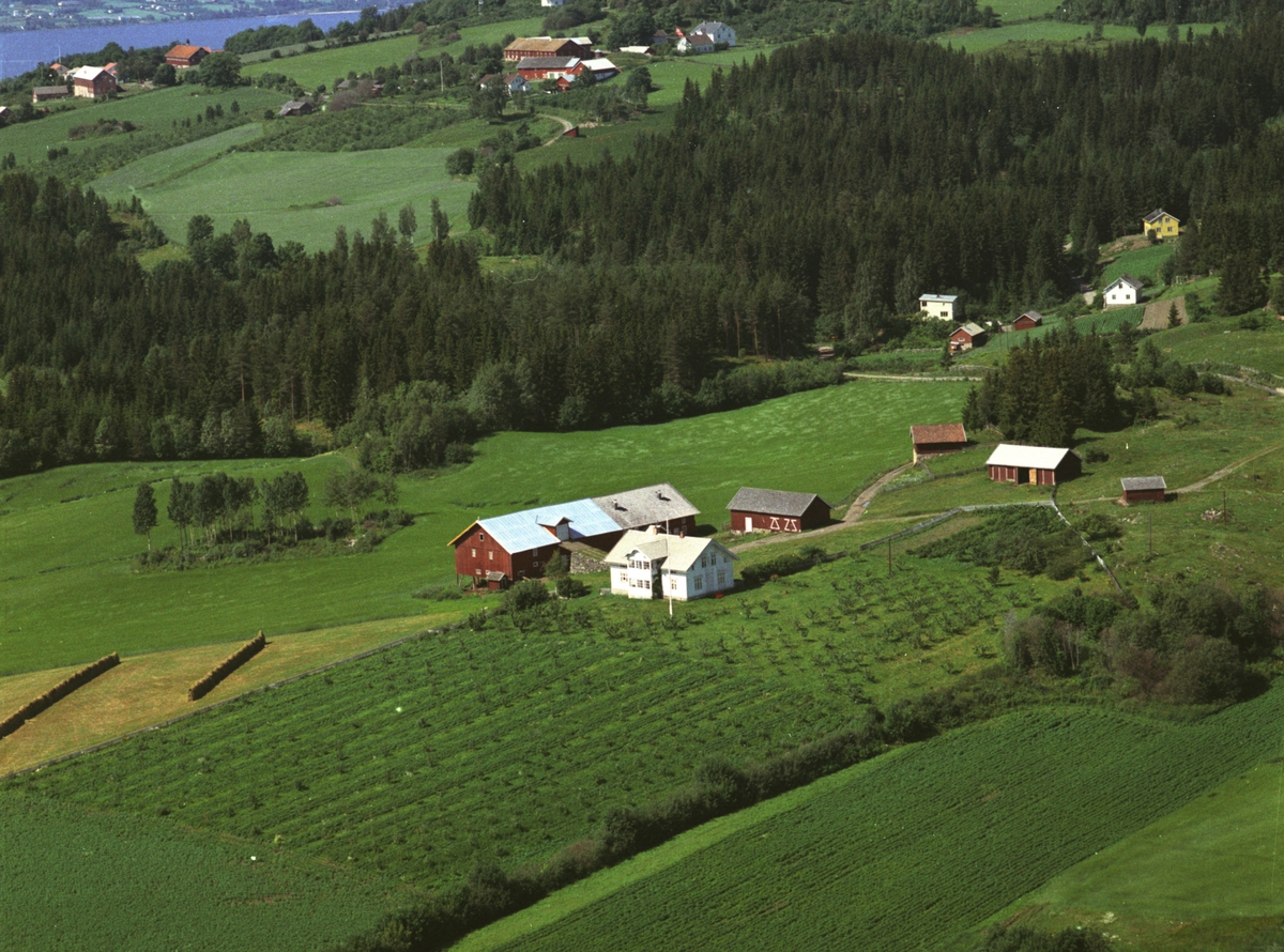 Flyfoto, gardsbruk, Teksum, Nes, Hedmark.