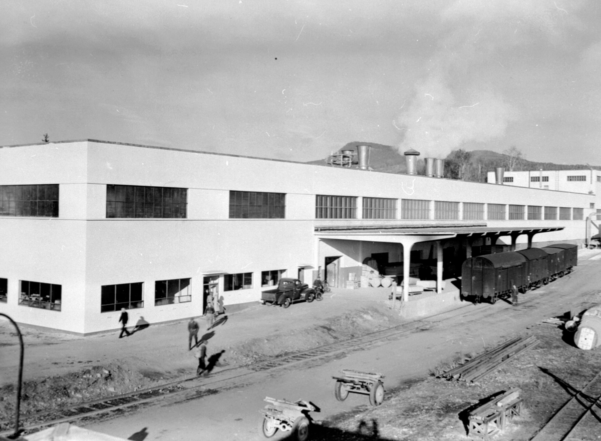 Oversikt Berger Langmoen A/S, fabrikkområdet, Brumunddal, jernbanevogner ved lasterampa til wallboardfabrikken, tog på sidespor.
