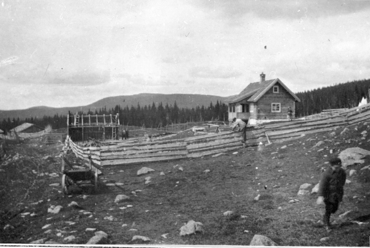 Lauvlia seter. Seter for Sendstad gård. Ringsakerfjellet.